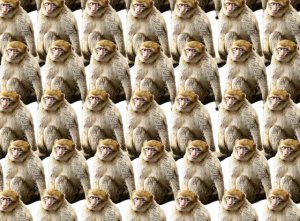 Теорема о бесконечных обезьянах